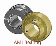 AMI MUCHPL207-22B Hanger Unit Bearings