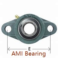 AMI MUCFT205-15NPRF Mounted Units & Inserts