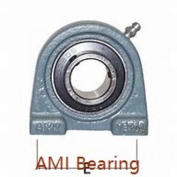 AMI BTM206-17  Flange Block Bearings
