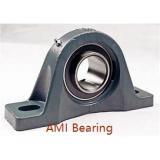 AMI BTM206-18NP  Mounted Units & Inserts